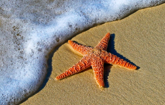 Health Advisory Issued for Popular LA County Beaches Due to High Bacterial Levels