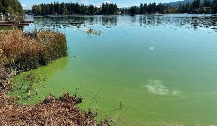 Health Advisory Issued for Toxic Algae at Lake Lawrence and Clear Lake in Thurston County