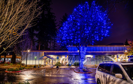 Hillsboro Sparkles with the Launch of Annual Winter Lighting, Invigorating Local Business and Community Spirit
