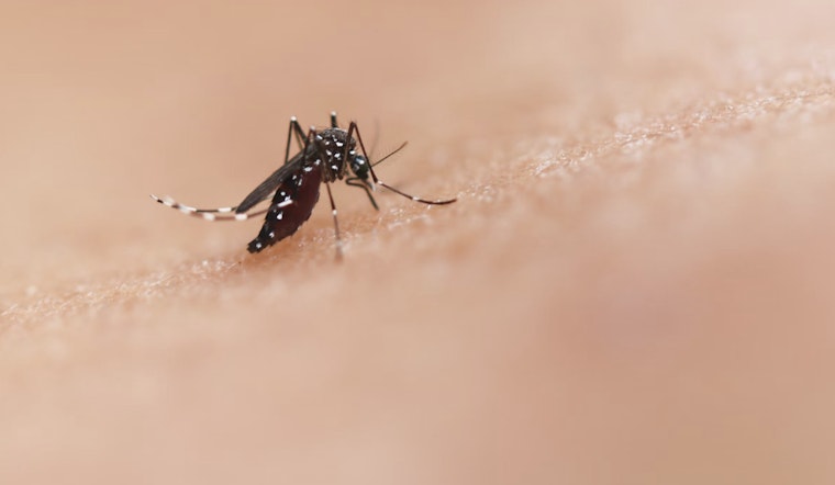 Hillsborough County Faces Fourth Dengue Fever Case Amid Rising Mosquito-Borne Illnesses in Florida