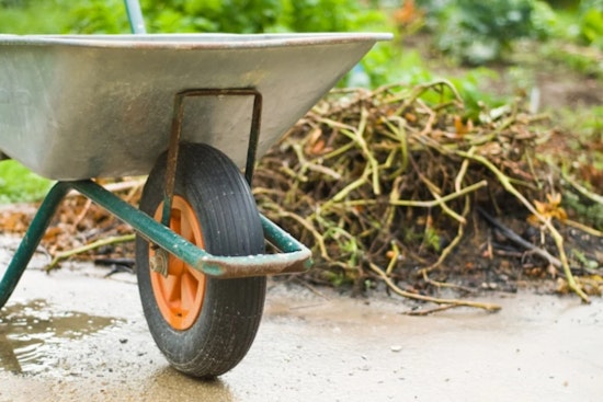 Hillsborough County Launches Free 24-Hour Debris Disposal Service in Anticipation of Hurricane Milton