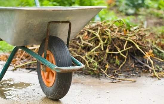 Hillsborough County Launches Free 24-Hour Debris Disposal Service in Anticipation of Hurricane Milton