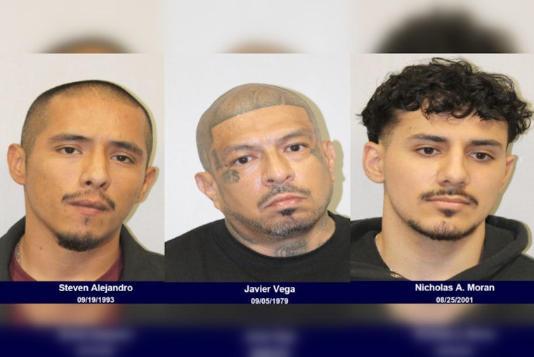 Houston-Area Sting Operation Leads to Arrests of Suspected Child Predators
