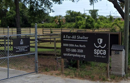 Houston Heroes Hit the Highway to Help: SPCA Team Treks to Tampa with Lifeline for Furry Hurricane Victims