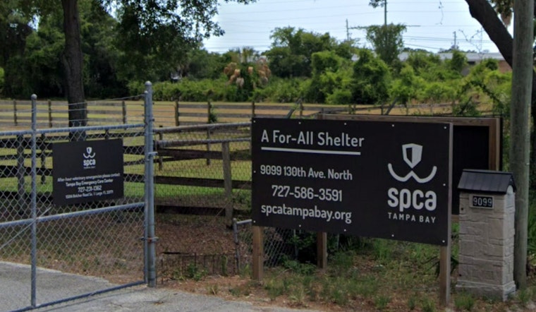 Houston Heroes Hit the Highway to Help: SPCA Team Treks to Tampa with Lifeline for Furry Hurricane Victims