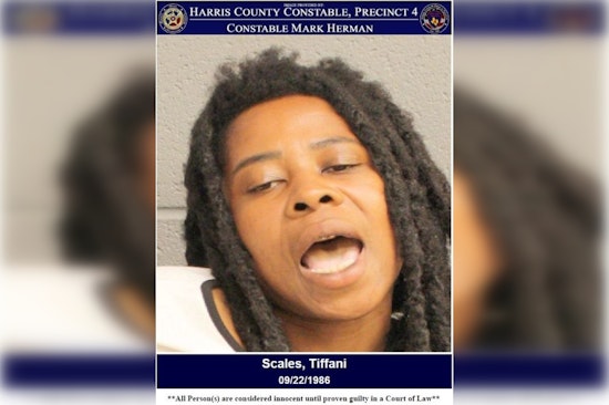 Houston Woman Charged with Assault on Deputy After West Lake Parkway Collision