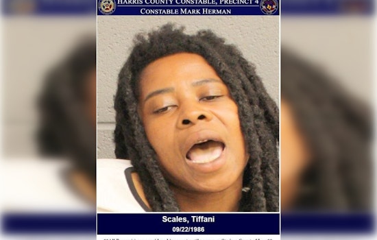 Houston Woman Charged with Assault on Deputy After West Lake Parkway Collision