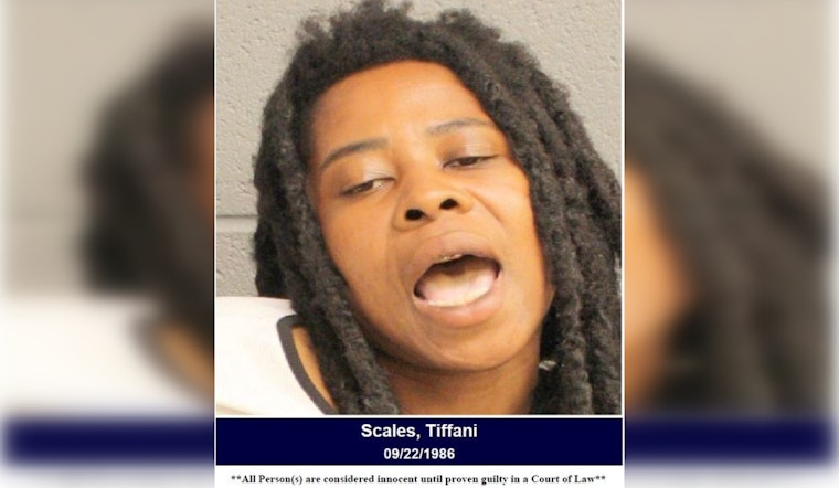 Houston Woman Charged with Assault on Deputy After West Lake Parkway Collision