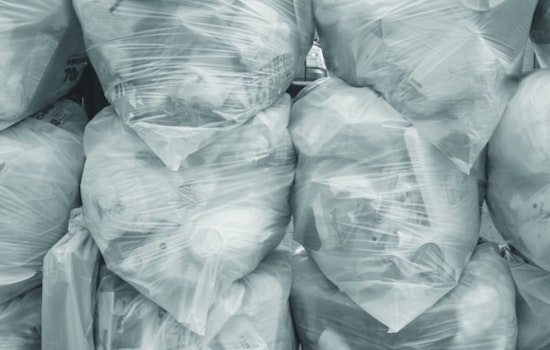 Houston's South Park Residents Outcry Over Rampant Illegal Dumping and Inadequate City Action