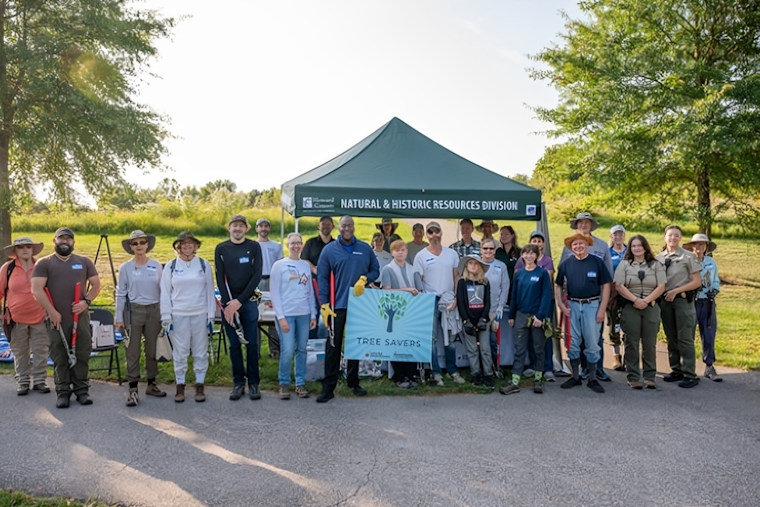 Howard County Launches Tree Savers Program to Combat Invasive Species in Ellicott City