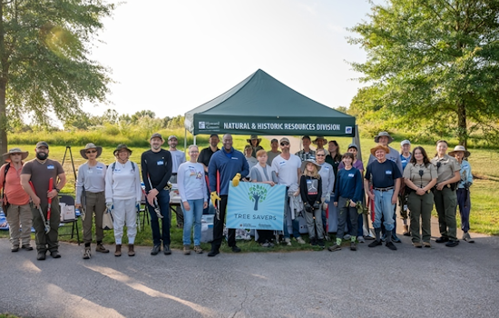Howard County Launches Tree Savers Program to Combat Invasive Species in Ellicott City