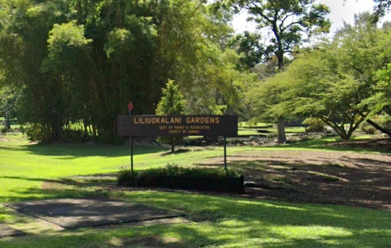 Iconic Vermillion Bridge at Hilo's Liliuokalani Gardens to be Reconstructed Amid Termite Infestation