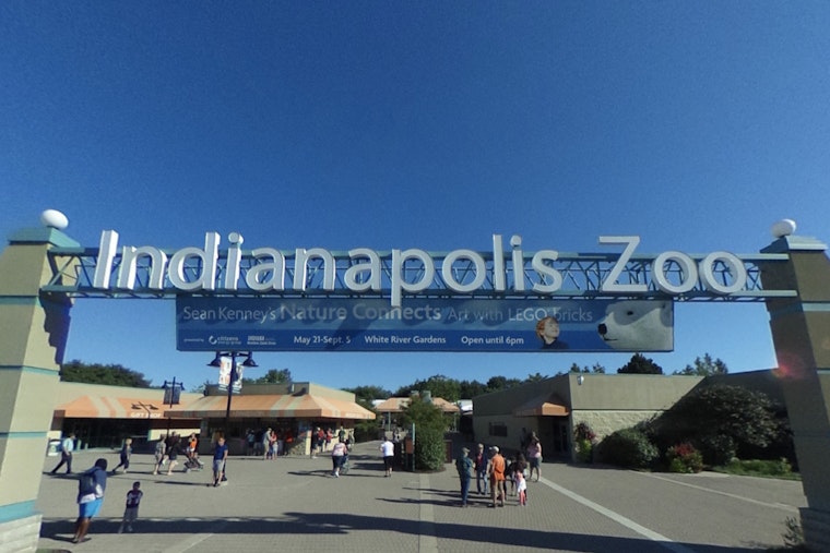 Indianapolis Zoo Grants $1 Million to Ecuadorian Group for Blue-Throated Hillstar Conservation