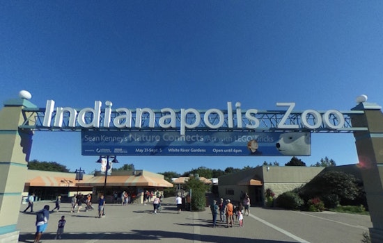 Indianapolis Zoo Grants $1 Million to Ecuadorian Group for Blue-Throated Hillstar Conservation