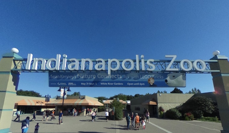 Indianapolis Zoo Grants $1 Million to Ecuadorian Group for Blue-Throated Hillstar Conservation