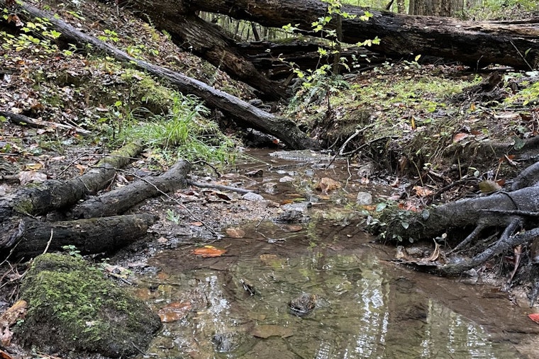 Join Milton's Community Effort for Waterway Conservation at "Rivers Alive" Cleanup on October 26