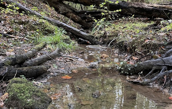 Join Milton's Community Effort for Waterway Conservation at "Rivers Alive" Cleanup on October 26