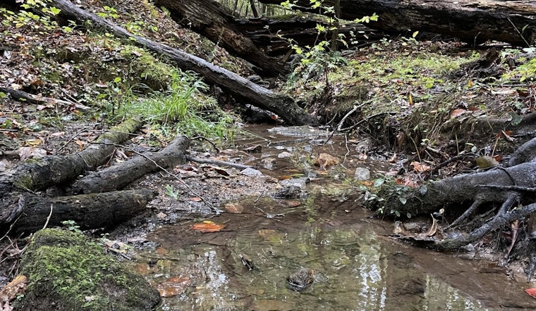 Join Milton's Community Effort for Waterway Conservation at "Rivers Alive" Cleanup on October 26