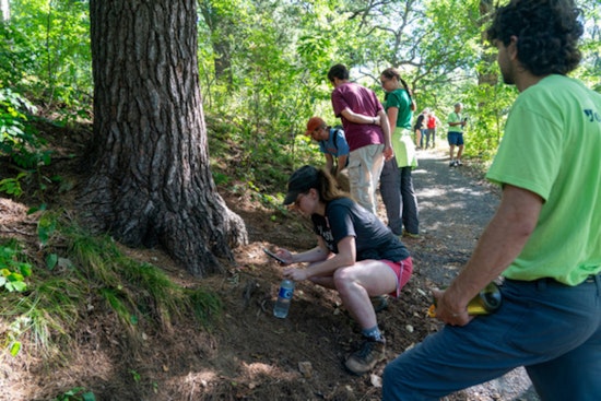 Join the Final Fall BioBlitz at North Mississippi Regional Park for a Day of Biodiversity Discovery
