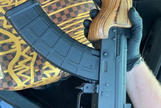 Joint Operation by Brooklyn Park Police and Hennepin County Sheriff's Office Nets Nine Arrests and Recovers Stolen Vehicles and Firearm