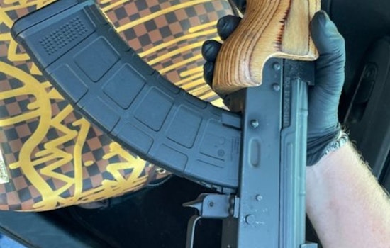 Joint Operation by Brooklyn Park Police and Hennepin County Sheriff's Office Nets Nine Arrests and Recovers Stolen Vehicles and Firearm