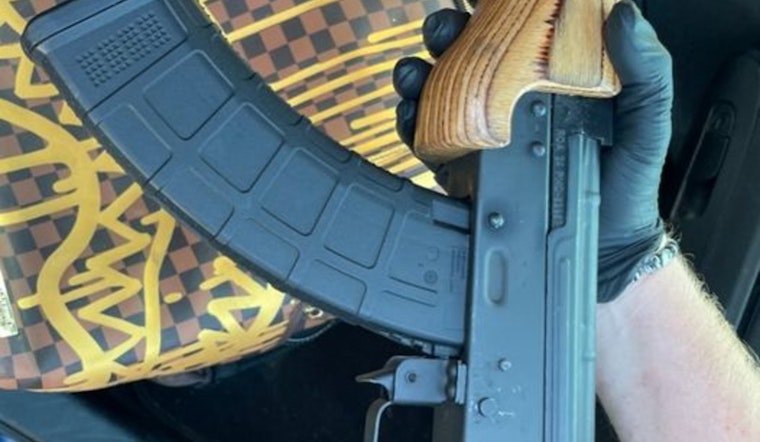 Joint Operation by Brooklyn Park Police and Hennepin County Sheriff's Office Nets Nine Arrests and Recovers Stolen Vehicles and Firearm