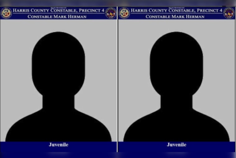 Juvenile Duo Arrested after Foot Chase at Target in North Freeway