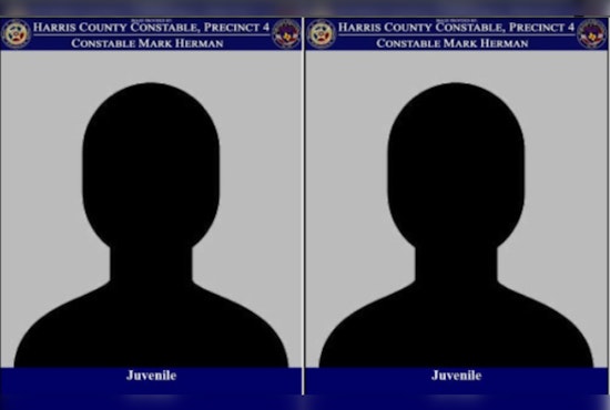 Juvenile Duo Arrested after Foot Chase at Target in North Freeway
