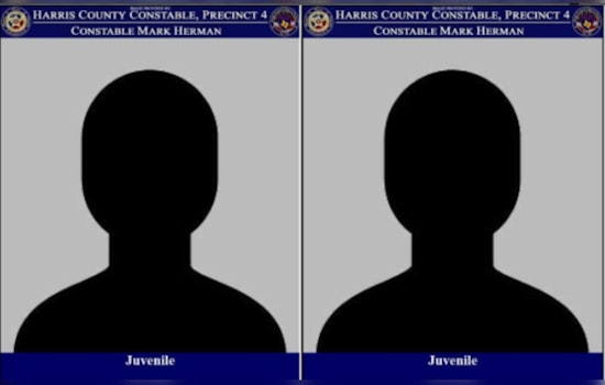 Juvenile Duo Arrested after Foot Chase at Target in North Freeway