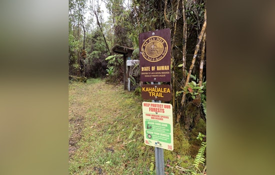Kahaualeʻa Natural Area Reserve Reopens Following Kīlauea Volcano Activity, Hikers Advised to Stay Informed