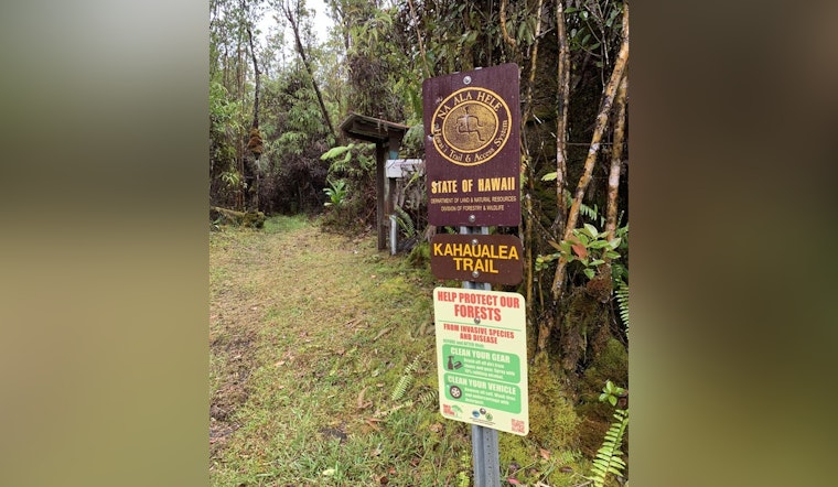 Kahaualeʻa Natural Area Reserve Reopens Following Kīlauea Volcano Activity, Hikers Advised to Stay Informed
