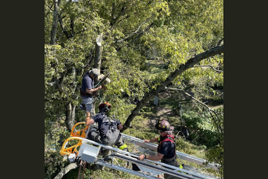 Knoxville Firefighters Skillfully Rescue Man Stuck 30 Feet Up in Tree on Vermont Avenue