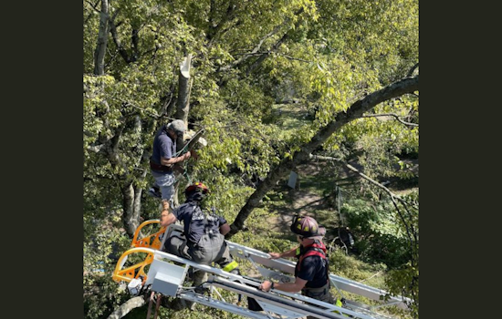 Knoxville Firefighters Skillfully Rescue Man Stuck 30 Feet Up in Tree on Vermont Avenue