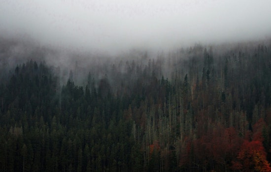 Knoxville Greets the Day with Dense Fog, Clear Skies and Warm Temperatures on the Horizon