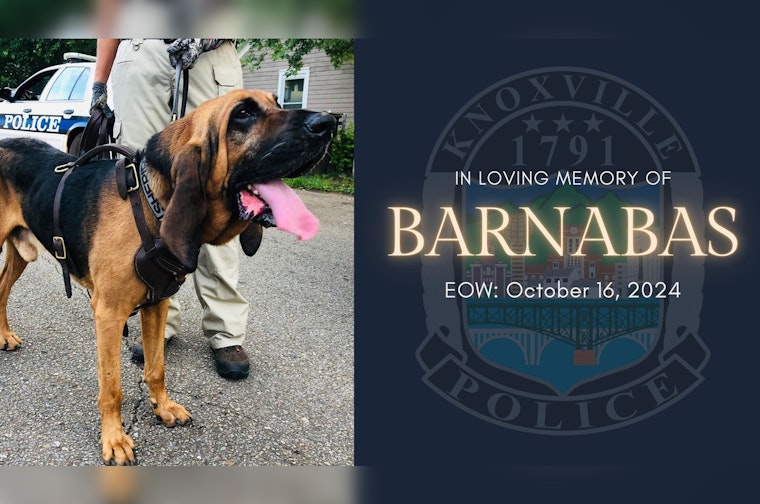 Knoxville Mourns the Loss of Two Heroic K-9 Officers, Zak and Barnabas, Amid Dedication to Duty