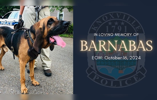 Knoxville Mourns the Loss of Two Heroic K-9 Officers, Zak and Barnabas, Amid Dedication to Duty