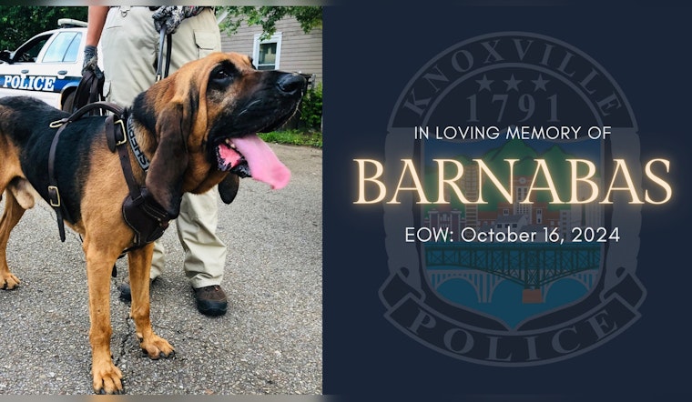 Knoxville Mourns the Loss of Two Heroic K-9 Officers, Zak and Barnabas, Amid Dedication to Duty