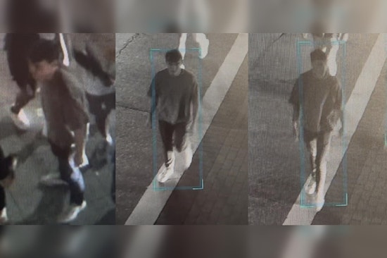 Knoxville Police Seek Suspect in Assault Near University of Tennessee Campus