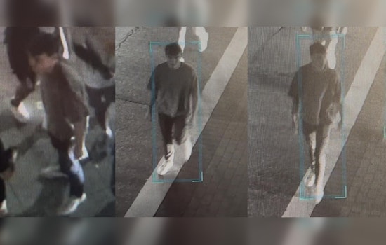 Knoxville Police Seek Suspect in Assault Near University of Tennessee Campus