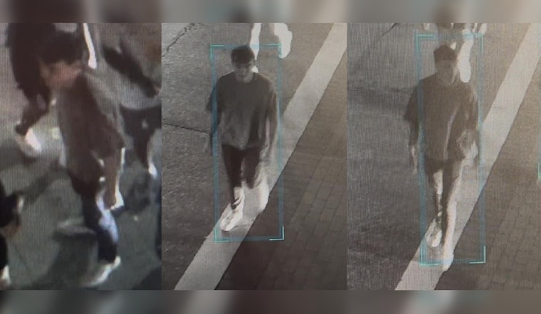 Knoxville Police Seek Suspect in Assault Near University of Tennessee Campus