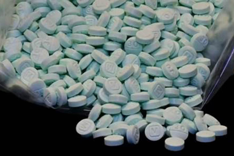 Lake County Sheriff's Traffic Stop Uncovers 325 Fentanyl-Laced Pills, Suspect Charged Amid Opioid Crackdown