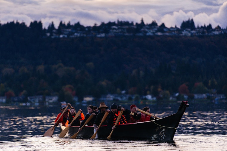 Lake Sammamish Welcomes Record 12,000 Young Kokanee Salmon in Conservation Boost