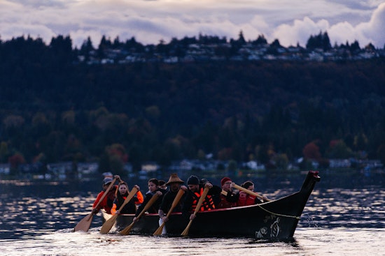Lake Sammamish Welcomes Record 12,000 Young Kokanee Salmon in Conservation Boost