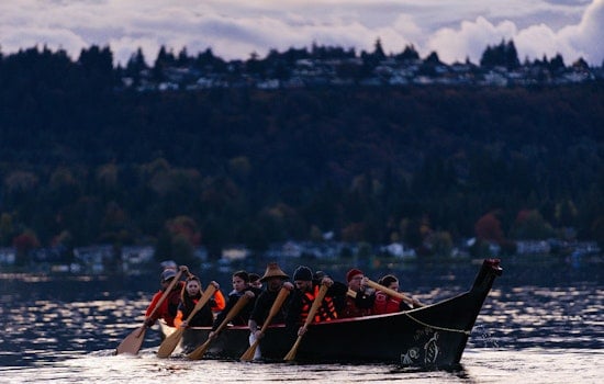 Lake Sammamish Welcomes Record 12,000 Young Kokanee Salmon in Conservation Boost