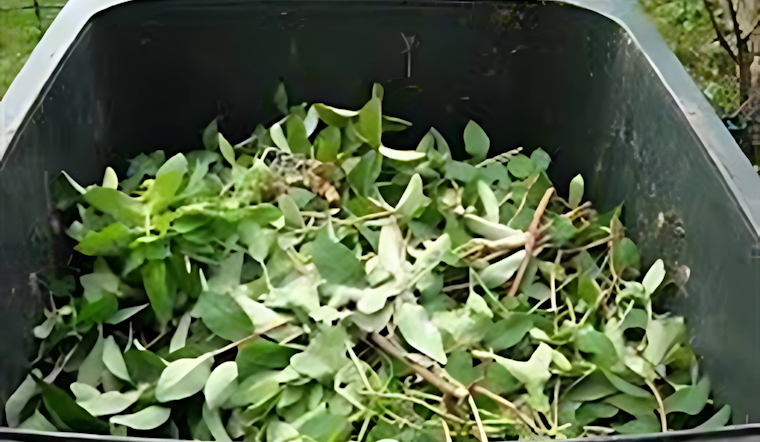 Lakewood Announces Free Leaf Recycling Program to Foster Greener Community Practices