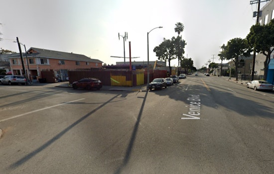 LAPD Seeks Public Help in Fatal Hit-and-Run Case in Los Angeles