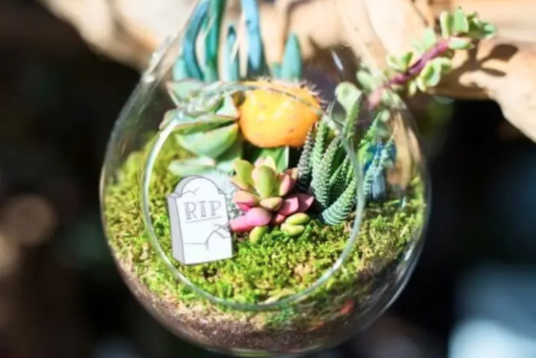 Las Cruces Public Libraries Host Halloween Craft Workshop at Branigan Memorial Library