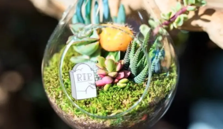 Las Cruces Public Libraries Host Halloween Craft Workshop at Branigan Memorial Library