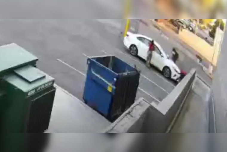 Las Vegas Police Release Footage, Seek Public's Help in Identifying Persons of Interest in Bulldog's Tragic Death