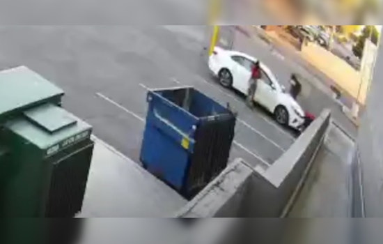 Las Vegas Police Release Footage, Seek Public's Help in Identifying Persons of Interest in Bulldog's Tragic Death